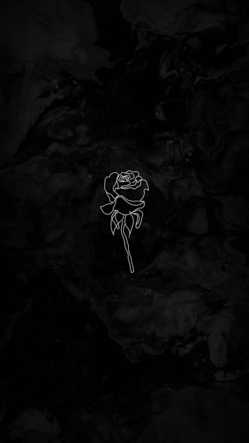 Black Rose iPhone Wallpaper HD