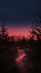 Evening Light iPhone Wallpaper HD