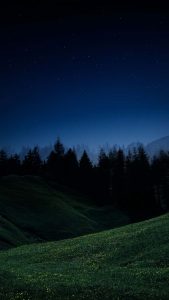 Green Mountain Forest iPhone Wallpaper HD