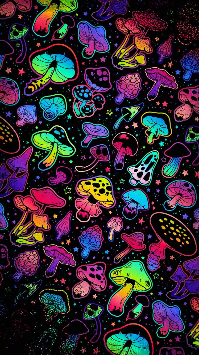 Star Mushrooms iPhone Wallpaper HD