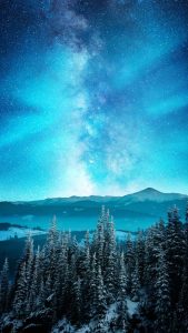 Starry Night Sky Snow Forest iPhone Wallpaper HD