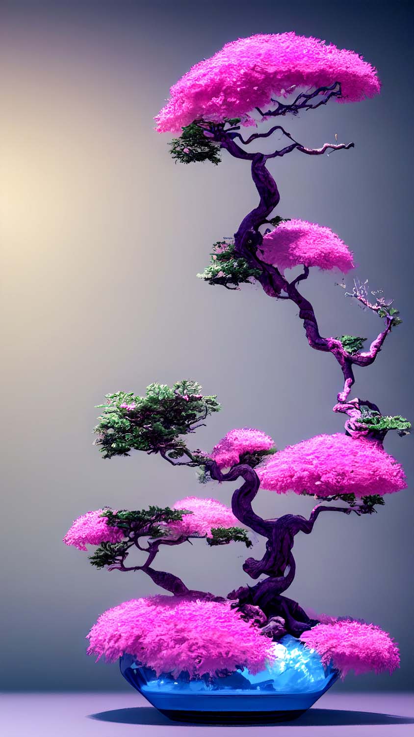 Bonsai Tree iPhone Wallpaper HD