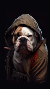 Bulldog Badass iPhone Wallpaper HD
