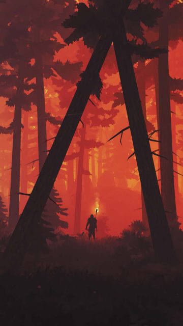 Forest Fire iPhone Wallpaper HD