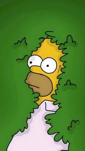 Homer Simpson iPhone Wallpaper HD