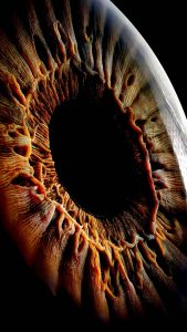 Iris iPhone Wallpaper HD