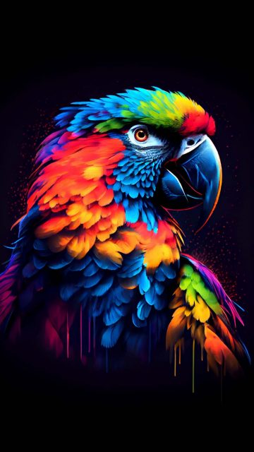 Ruffled Feathers iPhone Wallpaper HD