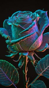 Ultraviolet Rose iPhone Wallpaper HD