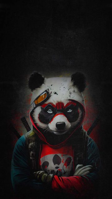 Fighter Panda iPhone Wallpaper HD