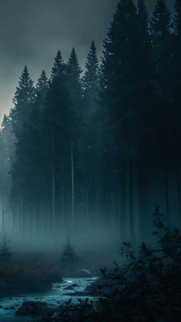 Forest Mist Trees iPhone Wallpaper HD