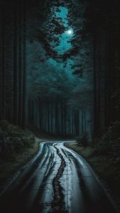 Forest Road iPhone Wallpaper HD