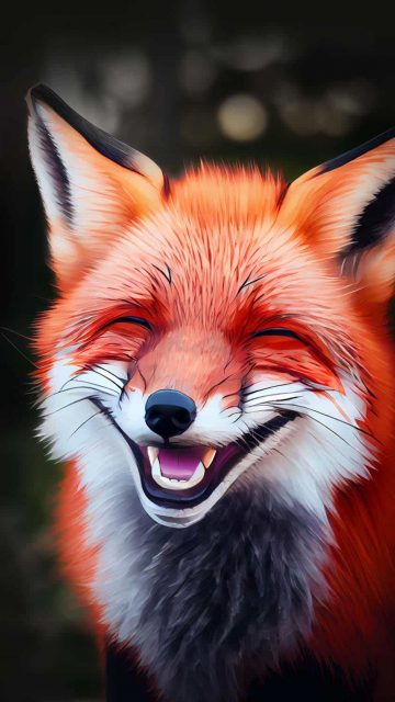 Fox Laugh iPhone Wallpaper HD