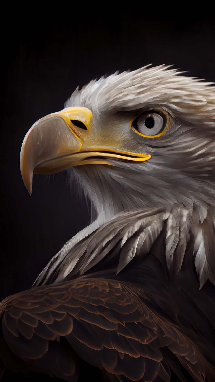 Pin by AHMETSASLANHAN on iphone 14 pro Max wallpaper  Eagle  wallpaper Wild animal wallpaper Eagle images