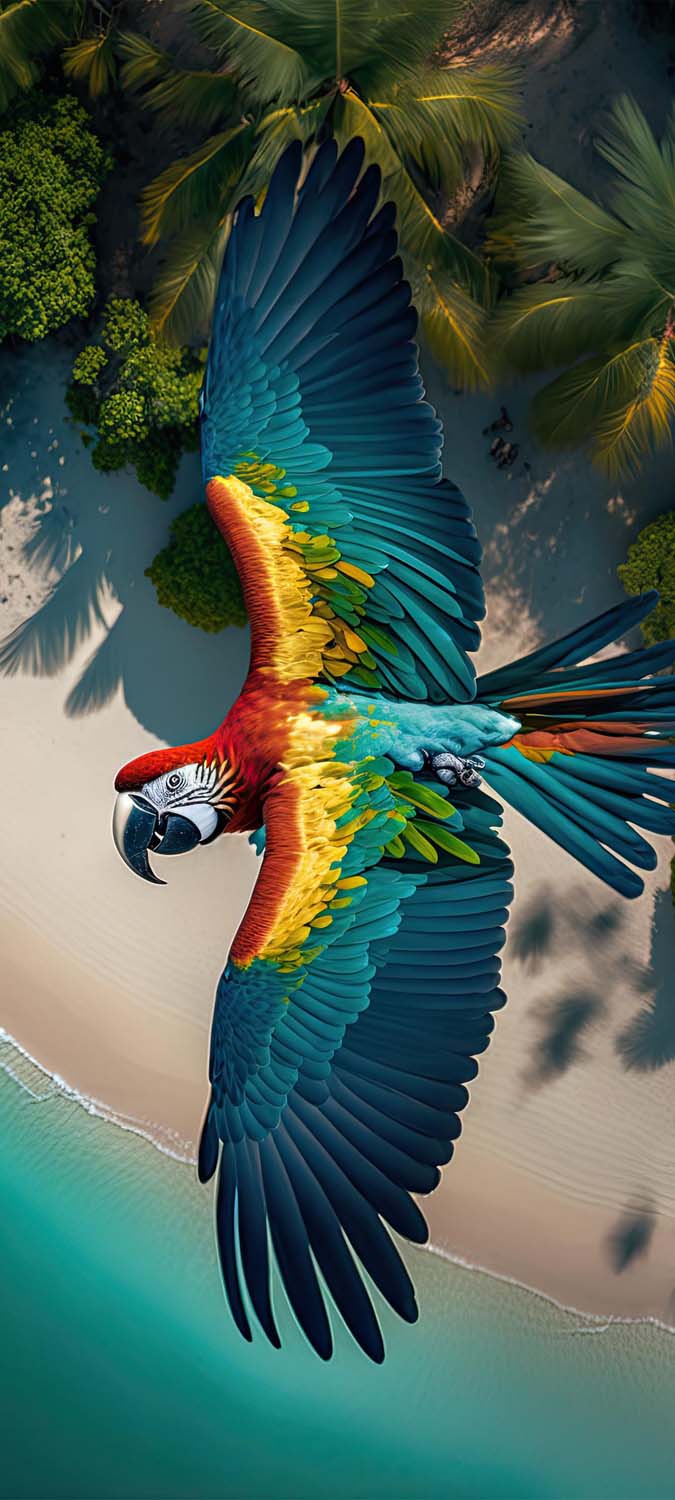 White parrot 1080P, 2K, 4K, 5K HD wallpapers free download | Wallpaper Flare
