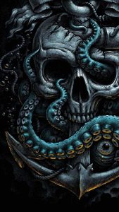 Octopus Pirate iPhone Wallpaper HD
