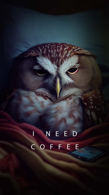 Sleepy Owl iPhone Wallpaper HD