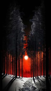 Sunrise Between Trees iPhone Wallpaper HD