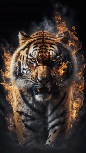 Tiger Fire 4K iPhone Wallpaper HD