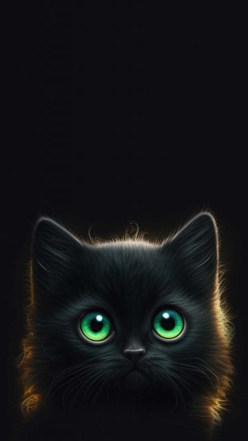 Baby Cat iPhone Wallpaper HD