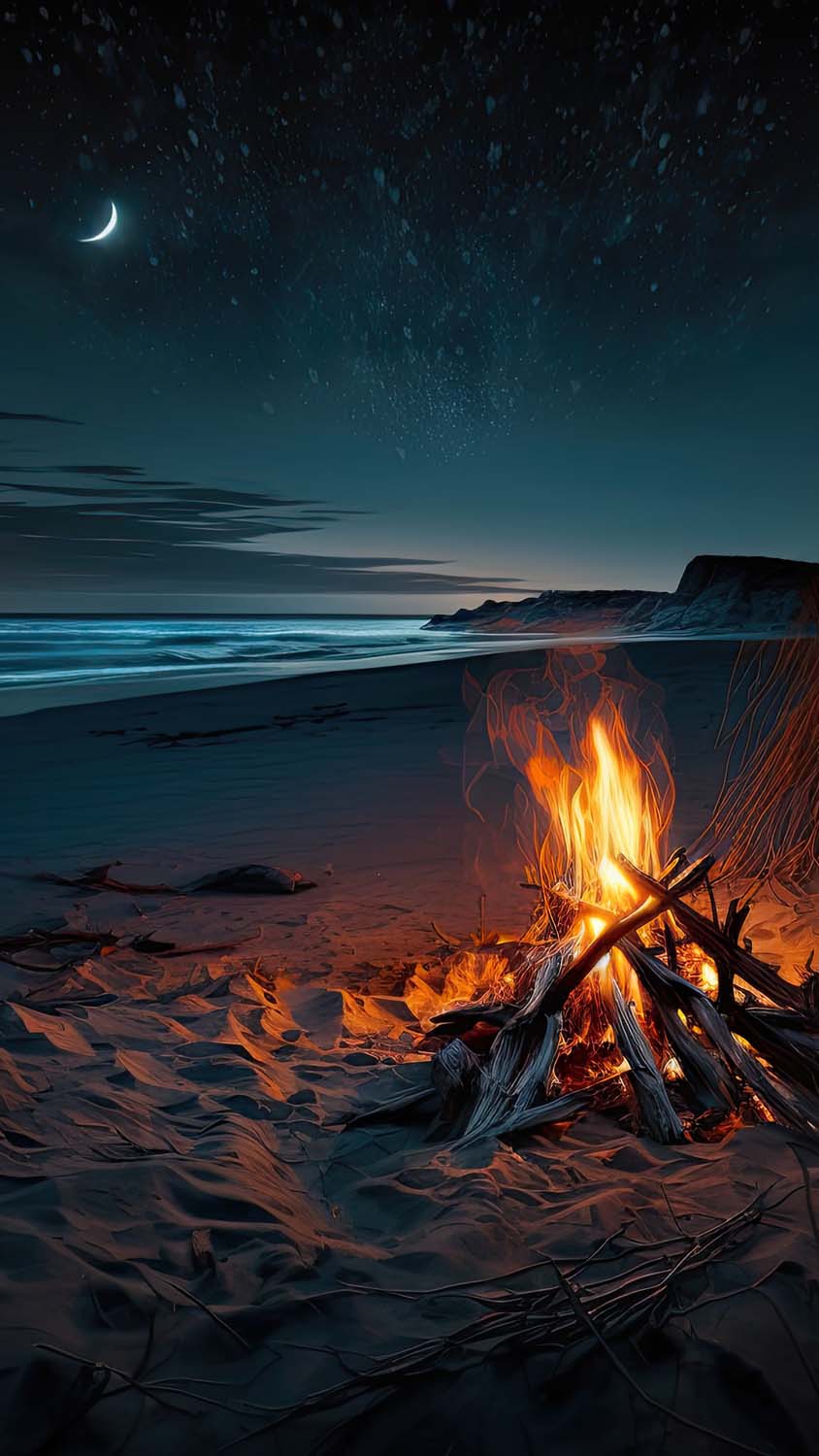 Beach Night Bonfire iPhone Wallpaper HD
