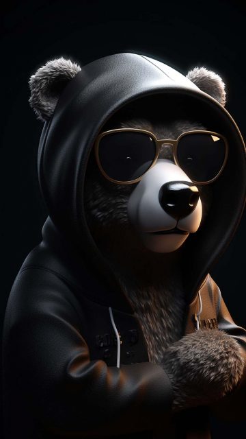 Hood Panda iPhone Wallpaper HD