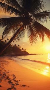 Beach Tree iPhone Wallpaper HD