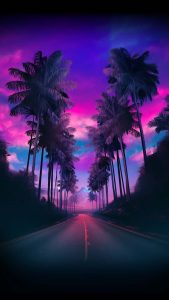 Palm Tree Road iPhone Wallpaper 4K