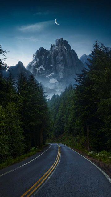 Forest Road to Mountains iPhone Wallpaper 4K