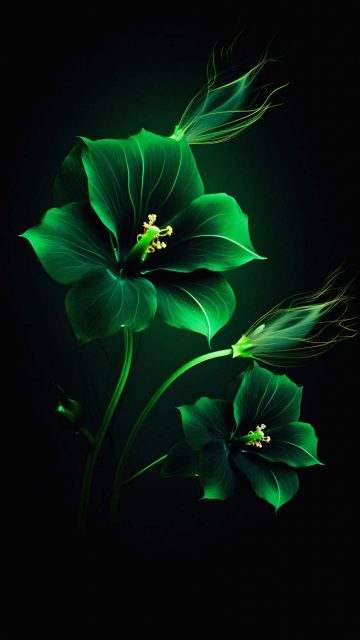 Green Flowers iPhone Wallpaper 4K