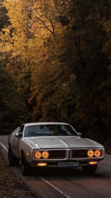 Pontiac GTO iPhone Wallpaper 4K