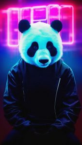 Urban Panda iPhone Wallpaper 4K