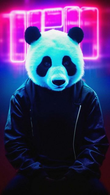 Urban Panda iPhone Wallpaper 4K
