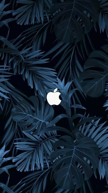 Apple Tropical iPhone Wallpaper 4K