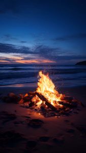 Beach Bonefire iPhone Wallpaper 4K