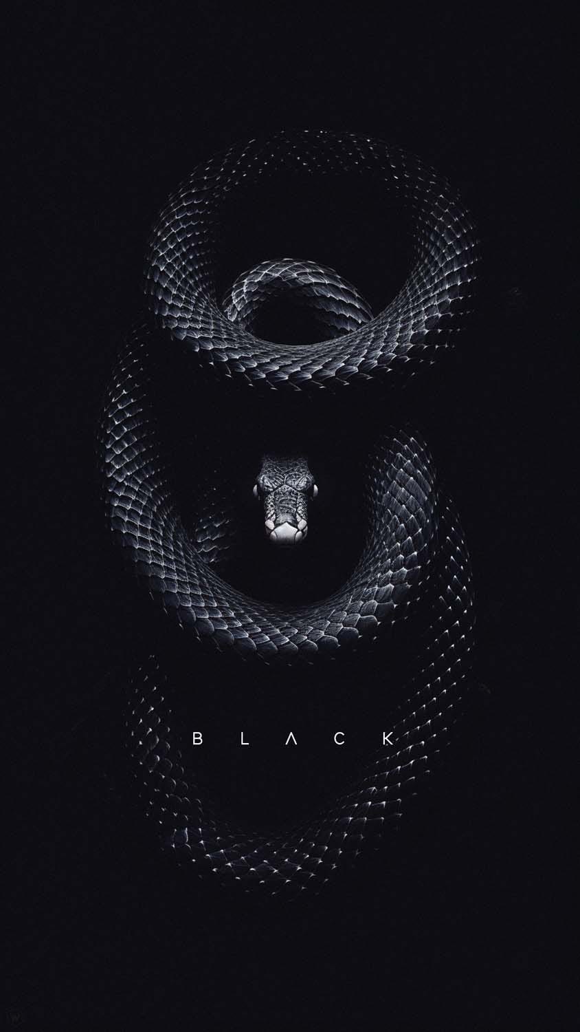 Black Snake iPhone Wallpaper 4K