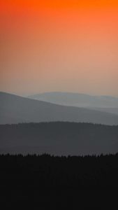 Mist Silhouette iPhone Wallpaper 4K