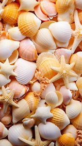 Sea Shells iPhone Wallpaper 4K