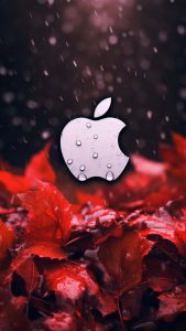 Apple Autumn iPhone Wallpaper 4K