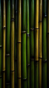 Bamboo Background iPhone Wallpaper 4K