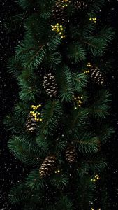 Christmas Tree Branches iPhone Wallpaper 4K
