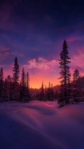 Snow Landscape Sunrise iPhone Wallpaper