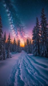 Snow Trees Pathway Starry Sky iPhone Wallpaper