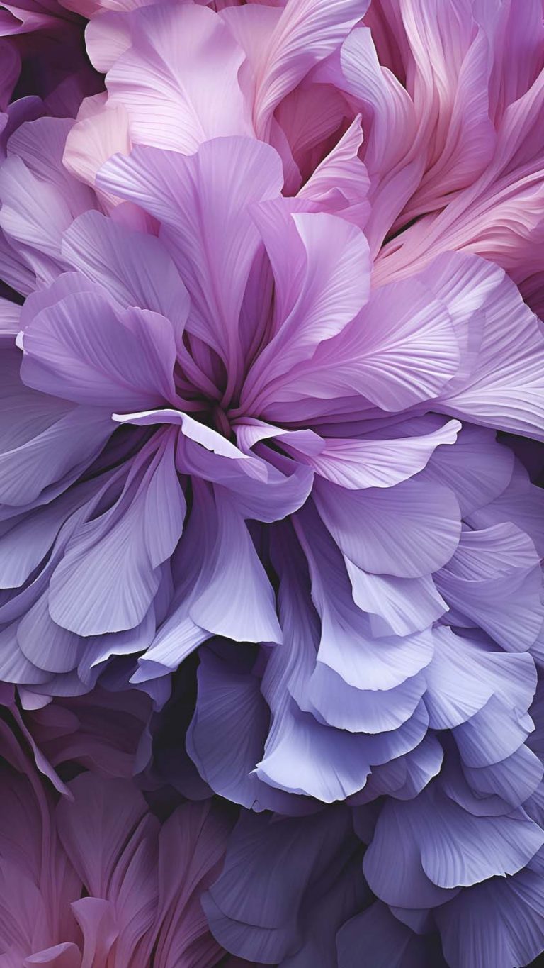 Flower Bloom - iPhone Wallpapers
