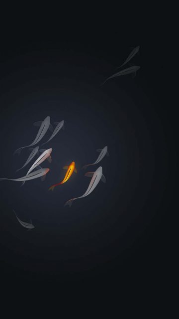 Little Fish iPhone Wallpaper