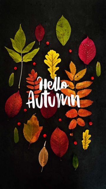Hello Autumn iPhone Wallpapers