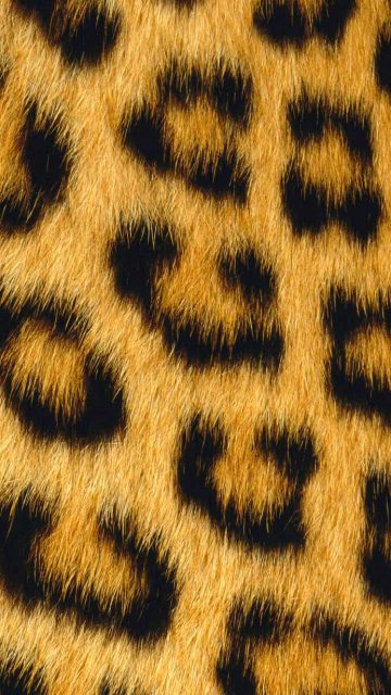 Jaguar iPhone Wallpaper