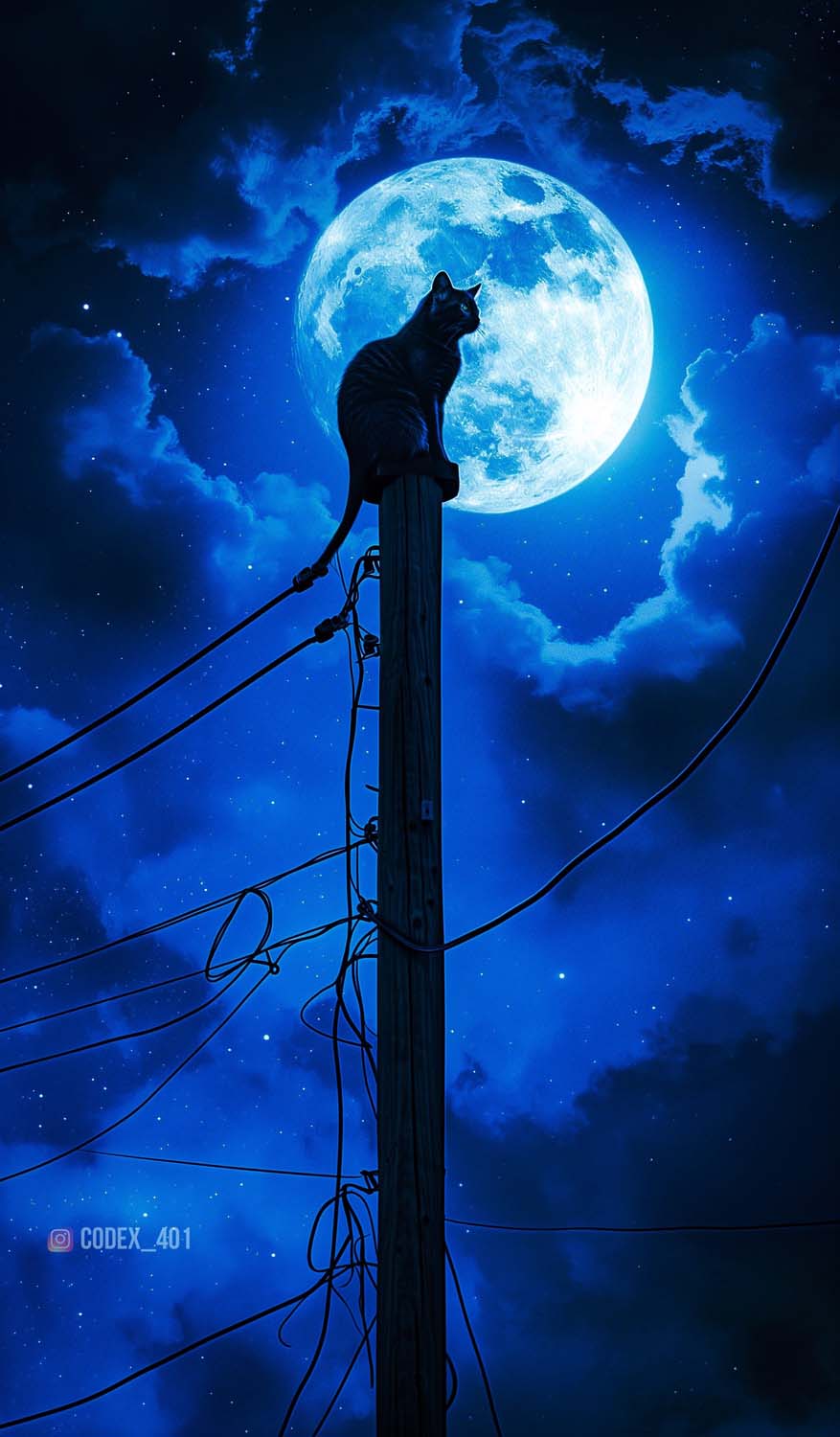 Moonlight Cat iPhone Wallpapers