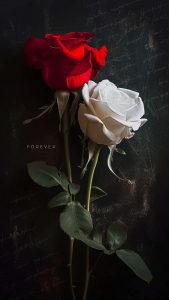 Love Forever iPhone Wallpaper