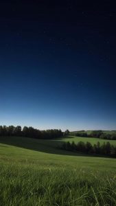 Grass Fields iPhone Wallpaper HD