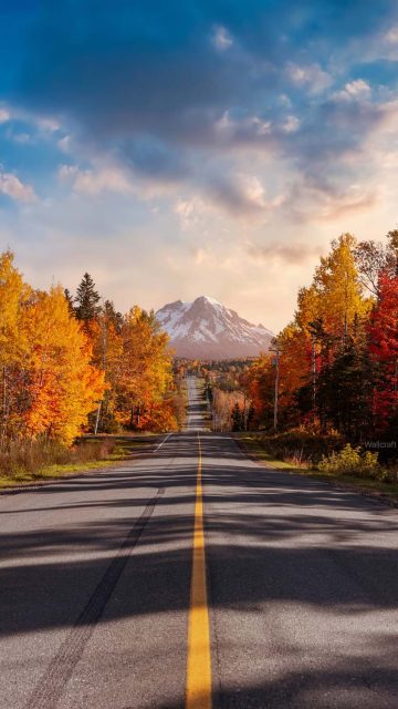 Autumn Road iPhone Wallpaper HD